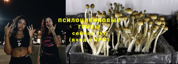 альфа пвп Михайловск