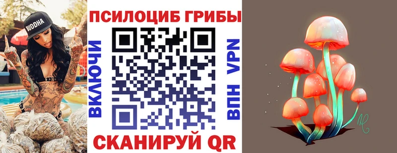 Псилоцибиновые грибы мицелий  где купить наркотик  ссылка на мегу зеркало  Куса 