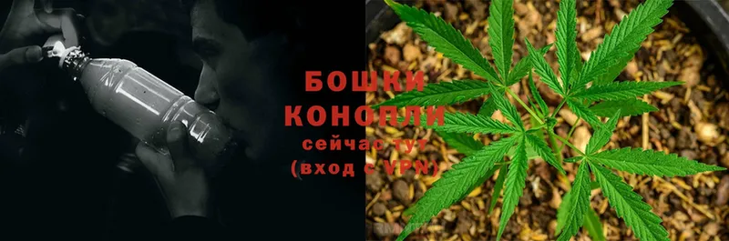 купить наркотик  Куса  blacksprut вход  МАРИХУАНА THC 21% 